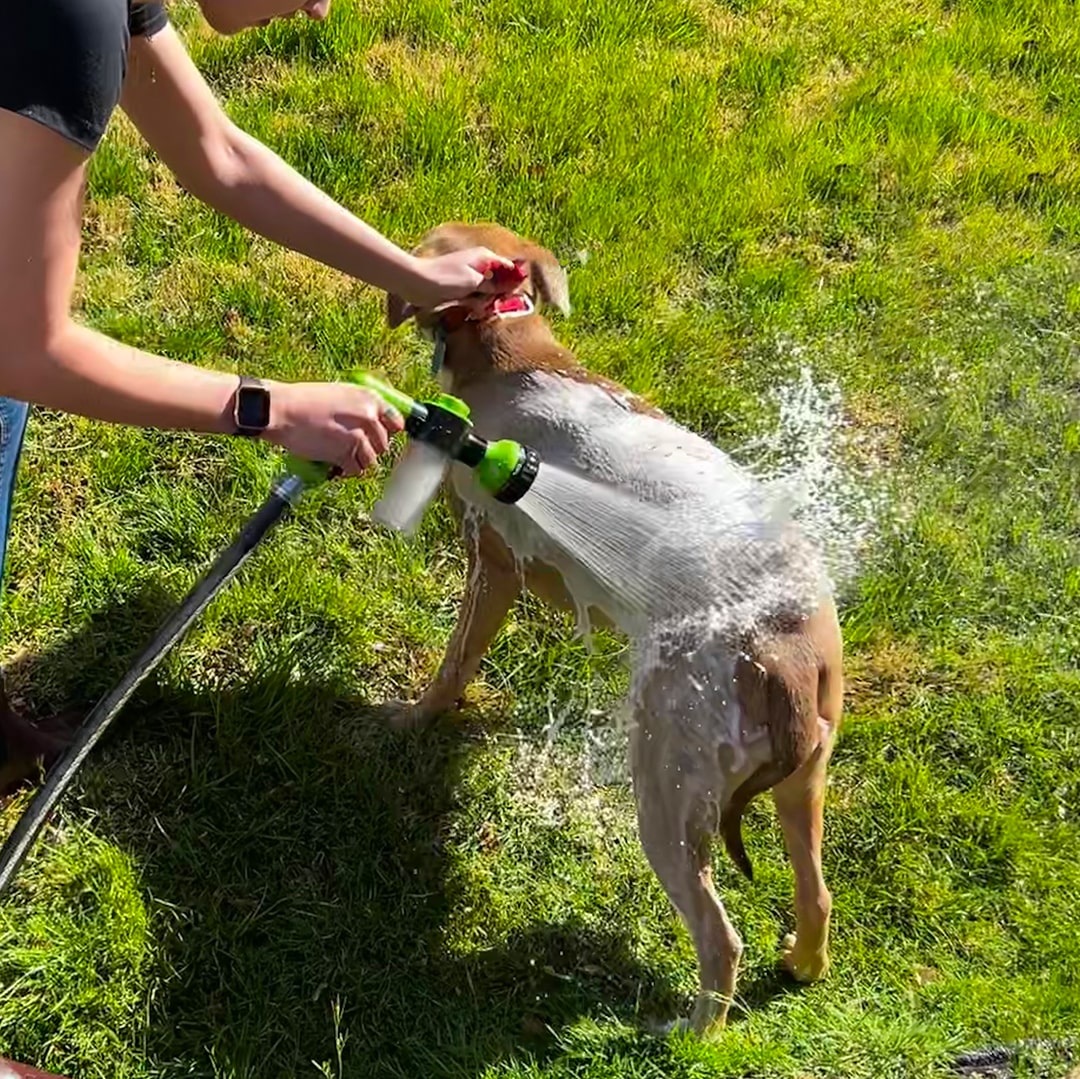 Einfaches und schnelles Reinigungs-Spray für Tiere