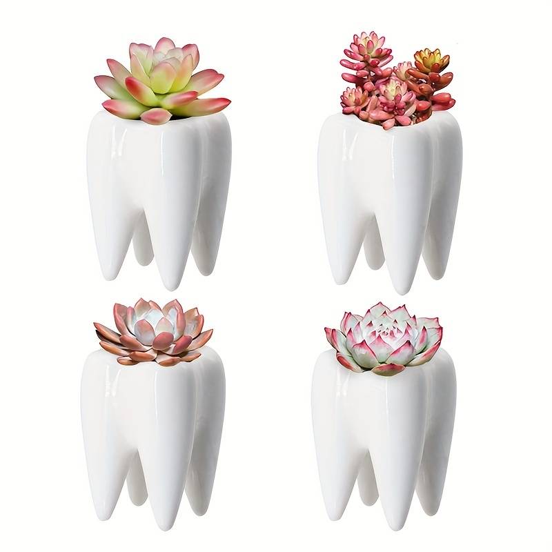 vase דנטלי רב תכליתי מקרמיקה