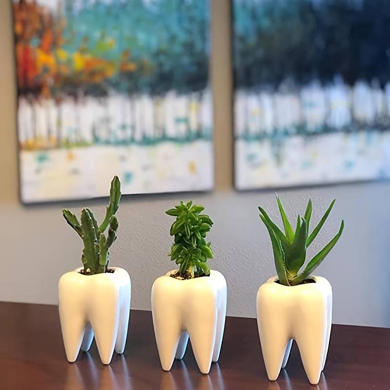 vase דנטלי רב תכליתי מקרמיקה
