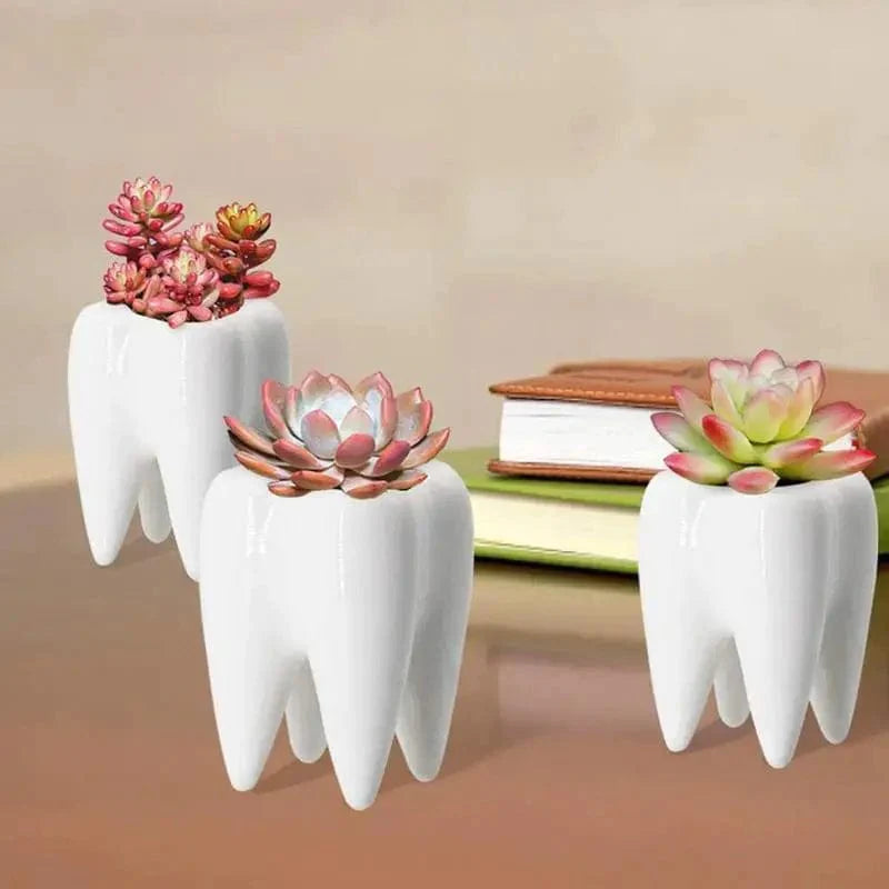 vase דנטלי רב תכליתי מקרמיקה